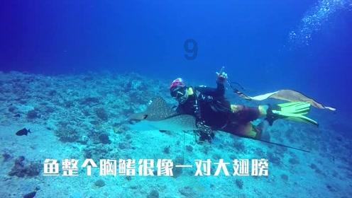 美味的甜品对对碰