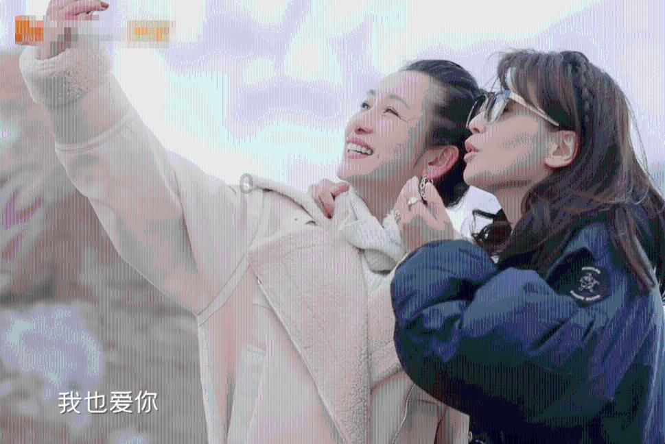 动物拼一拼